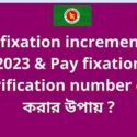 Pay fixation increment bd 2023 & Pay fixation verification number বের করার উপায় ?