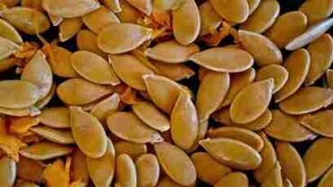 pumpkin seeds health benefits & disadvantages of eating pumpkin seeds ?