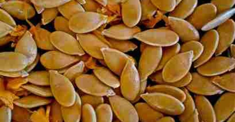 pumpkin seeds health benefits & disadvantages of eating pumpkin seeds ?