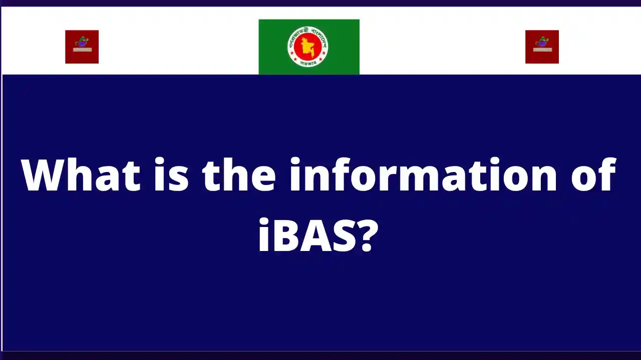 What is the information of iBAS